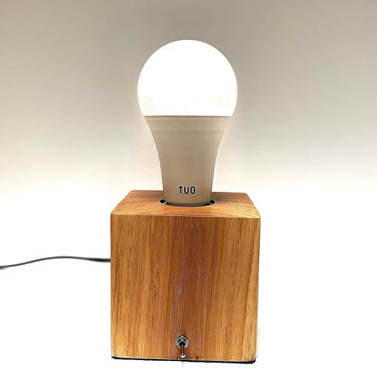 Desk, Table, Bedside Lamp - Modern, Simple, Solid Wood, E26 Edison Base2