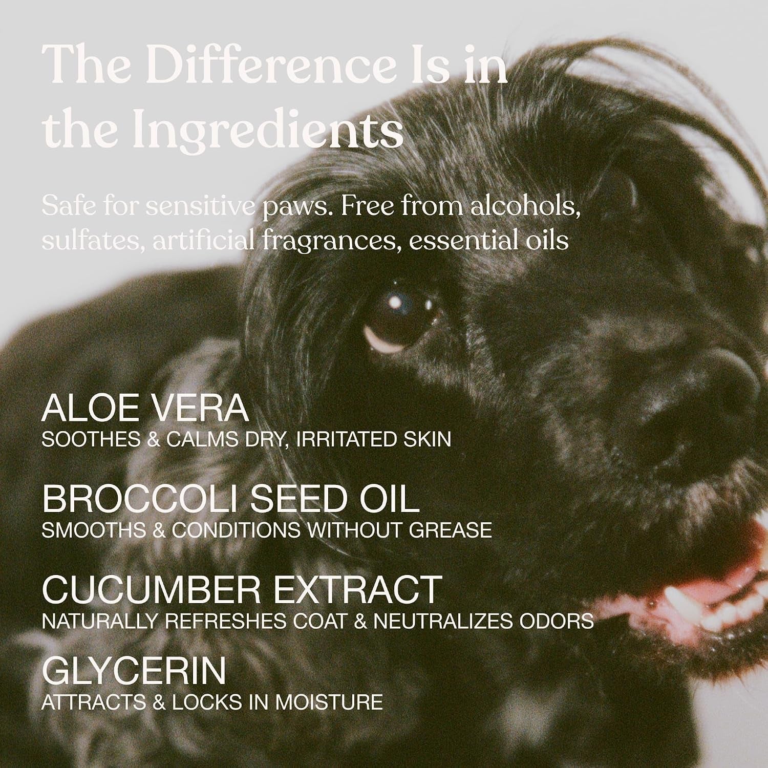 dog-shampoo-soothe-gentle-cleansing-hydrating-sensitive-skin-16-fl-oz-dandylion-pet-shampoo-fragrance-free-ph-balanced-plant-derived-formula-for-dry-coats-and-all-coat-types-dog-bath-supplies