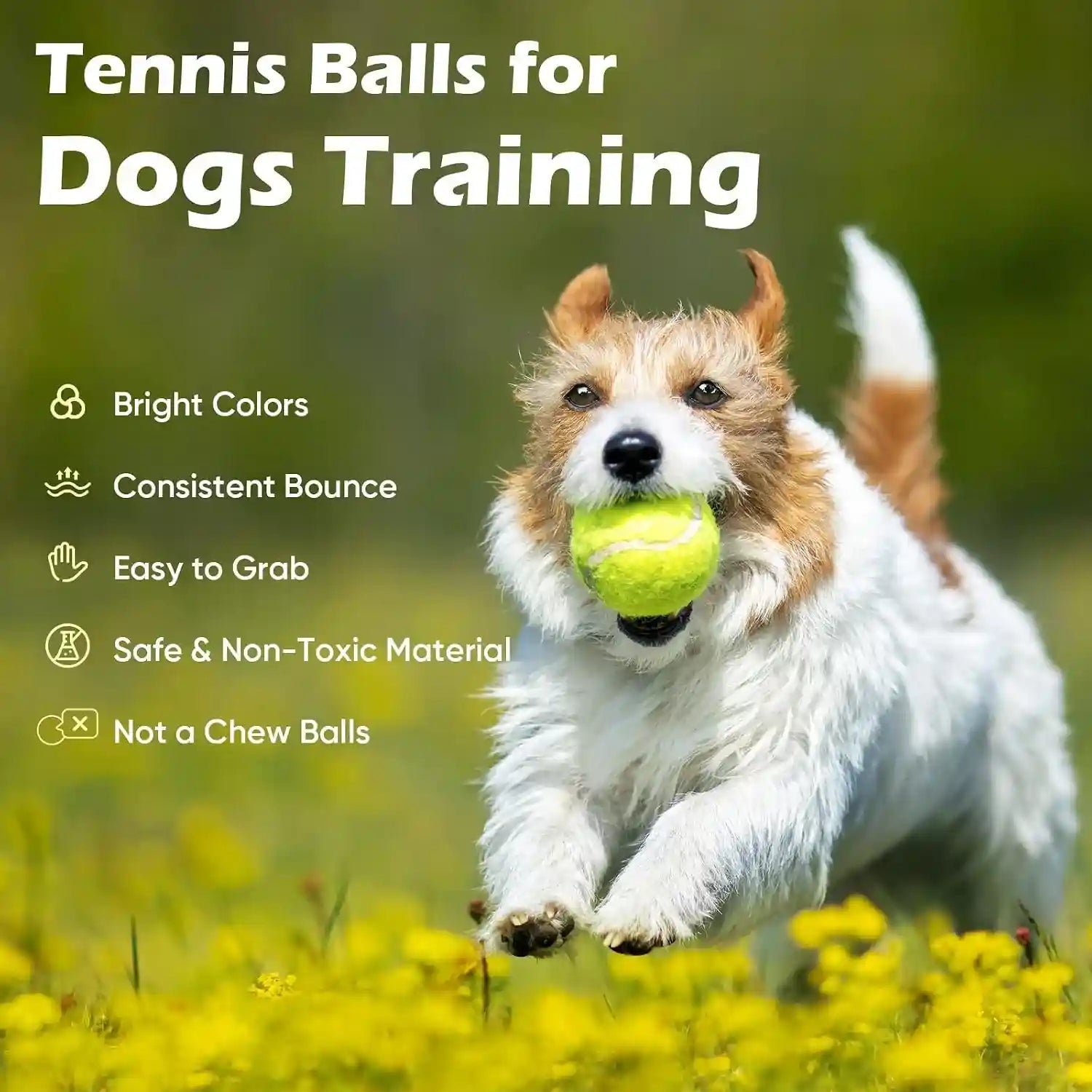 treeroot-16-30-40-60-80-pcs-tennis-balls-high-elasticity-tennis-balls-bulk-comes-with-a-portable-mesh-bag-tennis-ball-for-dogs-suitable-for-beginner-training-ball-durable-bounce