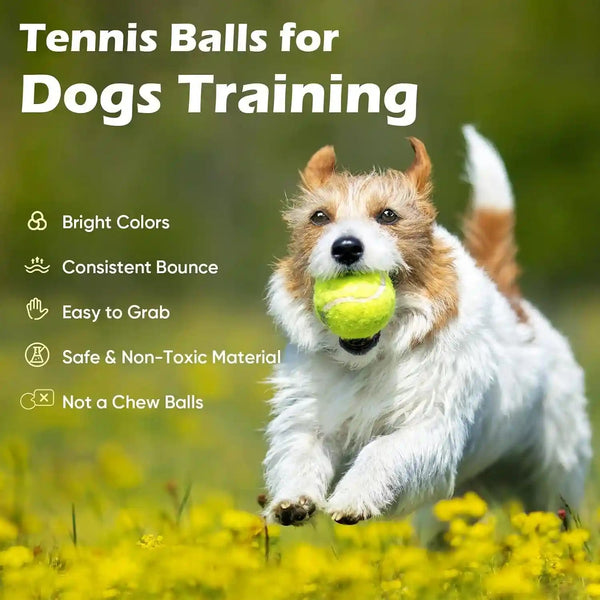 Treeroot 16/30/40/60/80 Pcs Tennis Balls, High Elasticity Tennis Balls Bulk, Comes with a Portable Mesh Bag, Tennis Ball for Dogs, Suitable for Beginner Training Ball, Durable & Bounce8