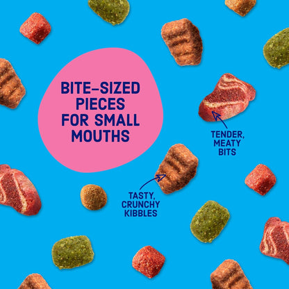 Kibbles 'N Bits Bistro Mini Bits Small Breed Dry Dog Food, Oven Roasted Beef, Spring Vegetable & Apple Flavors for Adult Dogs, 16 Lb. Bag5