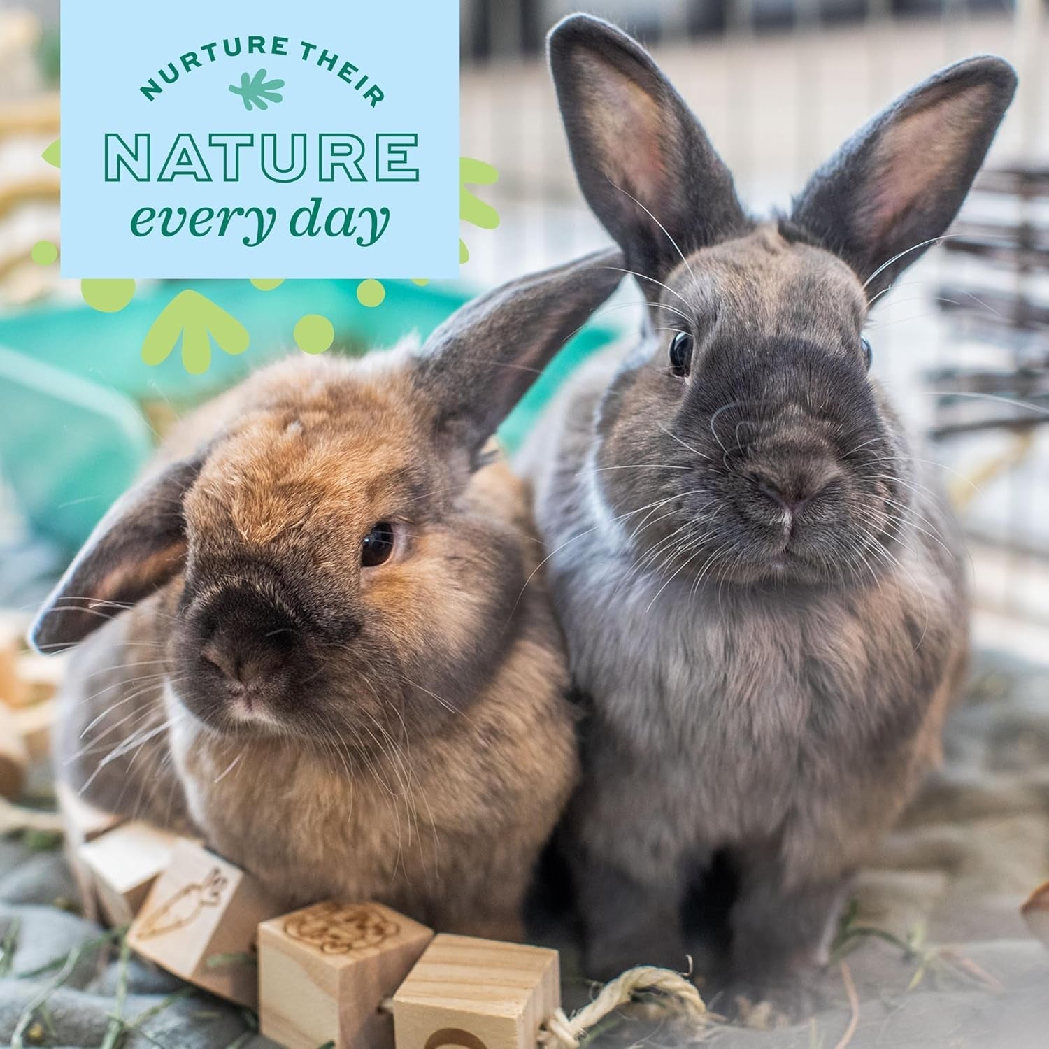 oxbow-ox-blocks-rabbit-guinea-pig-toy-bunny-enrichment-chew-toy-oxbow-enriched-life-rabbit-chew-toys-guinea-pig-enrichment-guinea-pig-chew-toys-rabbit-enrichment-natural-materials