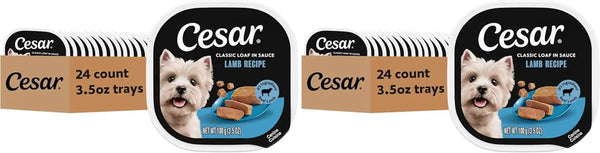 Cesar Classic Loaf in Sauce Wet Dog Food, Filet Mignon, 3.5 Oz, 24 Count | Made in USA, Real Beef #1 Ingredient, No Fillers/Added Sugar/Artificial Flavors, Use as Meal or Topper, Easy Peel Trays20