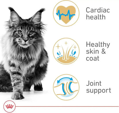 ROYAL CANIN Feline Breed Nutrition Maine Coon Adult Dry Cat Food, 6 Lb Bag3