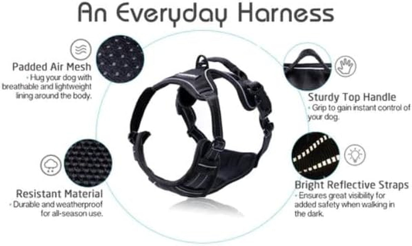 rabbitgoo-dog-harness-no-pull-for-large-dogs-with-2-leash-clips-pet-vest-no-choke-with-handle-adjustable-soft-padded-reflective-easy-control-for-walking-black-large