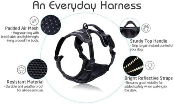 Rabbitgoo Dog Harness, No Pull for Large Dogs with 2 Leash Clips, Pet Vest | No Choke with Handle, Adjustable Soft Padded, Reflective, Easy Control for Walking, Black, Large9