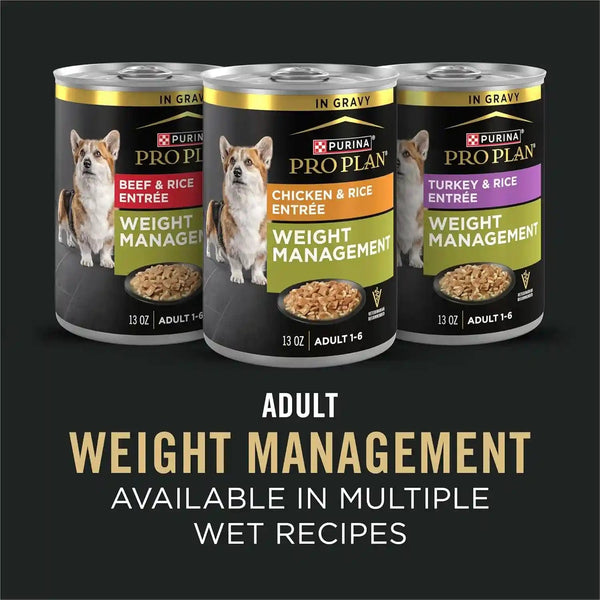 Purina Pro Plan Weight Management Dog Food Dry, Shredded Blend Chicken and Rice Formula - 6 Lb. Bag8