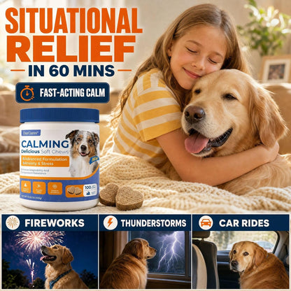 Calming Chews for Dogs Melatonin Anxiety Trial Pack 15 Ct Chicken | Non-Drowsy Soft Chews with Melatonin, Chamomile & L-Theanine. 15-Day Trial Size for Anxiety, Storms, Travel & Sleep Support.4