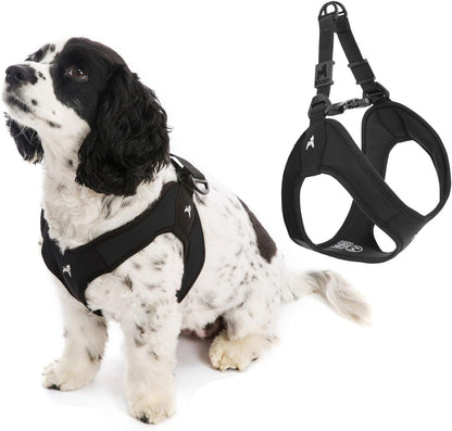 Gooby - Escape Free Easy Fit Harness, Small Dog Step-In Harness for Dogs That like to Escape Their Harness, Turquoise, Small13