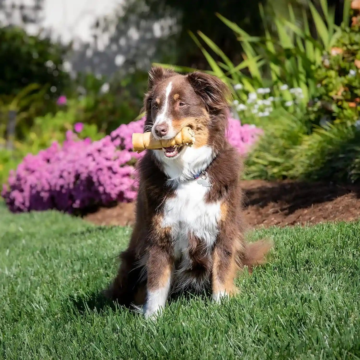 wild-eats-water-buffalo-retriever-style-cheek-rolls-dog-chews-pack-of-5-long-lasting-treats-and-bones-for-aggressive-gnawing-and-large-sized-breeds-works-as-a-satisfying-substitute-for-pig-ears