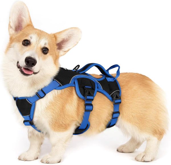 Rabbitgoo Escape Proof Dog Harness for Large, No Pull with Lift Handle | No Escape, Full Soft Padded, Reflective Adjustable Vest, Leash Clip for Walking Hiking Training, Black, Large31
