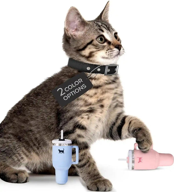 PUPROAR Kitty Cup Catnip Cat Toy, Cat Birthday Gift & Cute Girly Accessory, Crinkle Toy for Indoor Cats (Pink Peach Dust)7