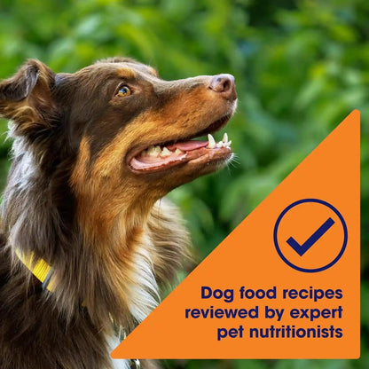 Nature’S Recipe Grain Free Chicken, Sweet Potato & Pumpkin Recipe Dry Dog Food, 24 Lb. Bag5
