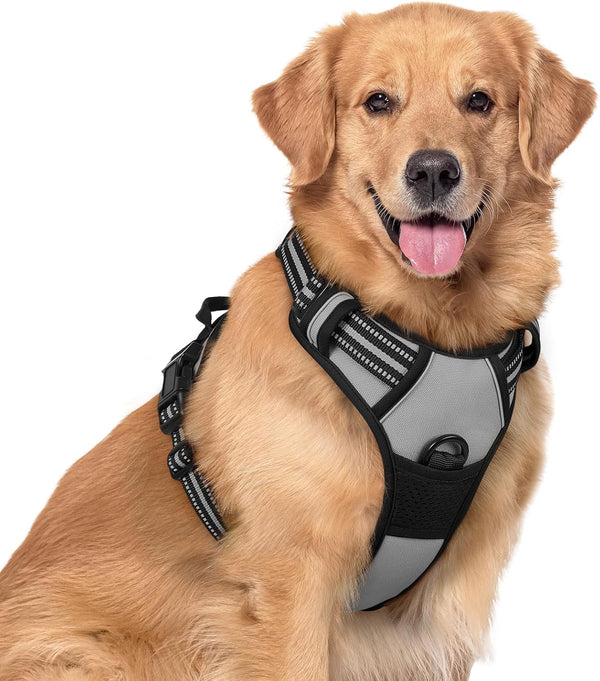 Rabbitgoo Dog Harness, No Pull for Large Dogs with 2 Leash Clips, Pet Vest | No Choke with Handle, Adjustable Soft Padded, Reflective, Easy Control for Walking, Black, Large73