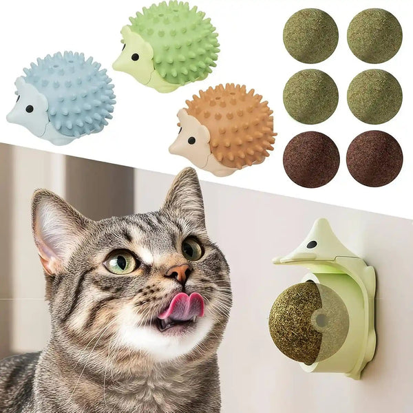 6 Pcs Catnip Ball Toys with Rubbing Shell, Lickable Roller Catnip Toys for Cats Chew, Edible and Refillable Kitten Toys, Teeth Cleaning Dental Indoor Cat Treats Toys, 3 Shells 6 Balls1