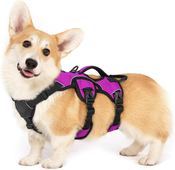 Rabbitgoo Escape Proof Dog Harness for Large, No Pull with Lift Handle | No Escape, Full Soft Padded, Reflective Adjustable Vest, Leash Clip for Walking Hiking Training, Black, Large57