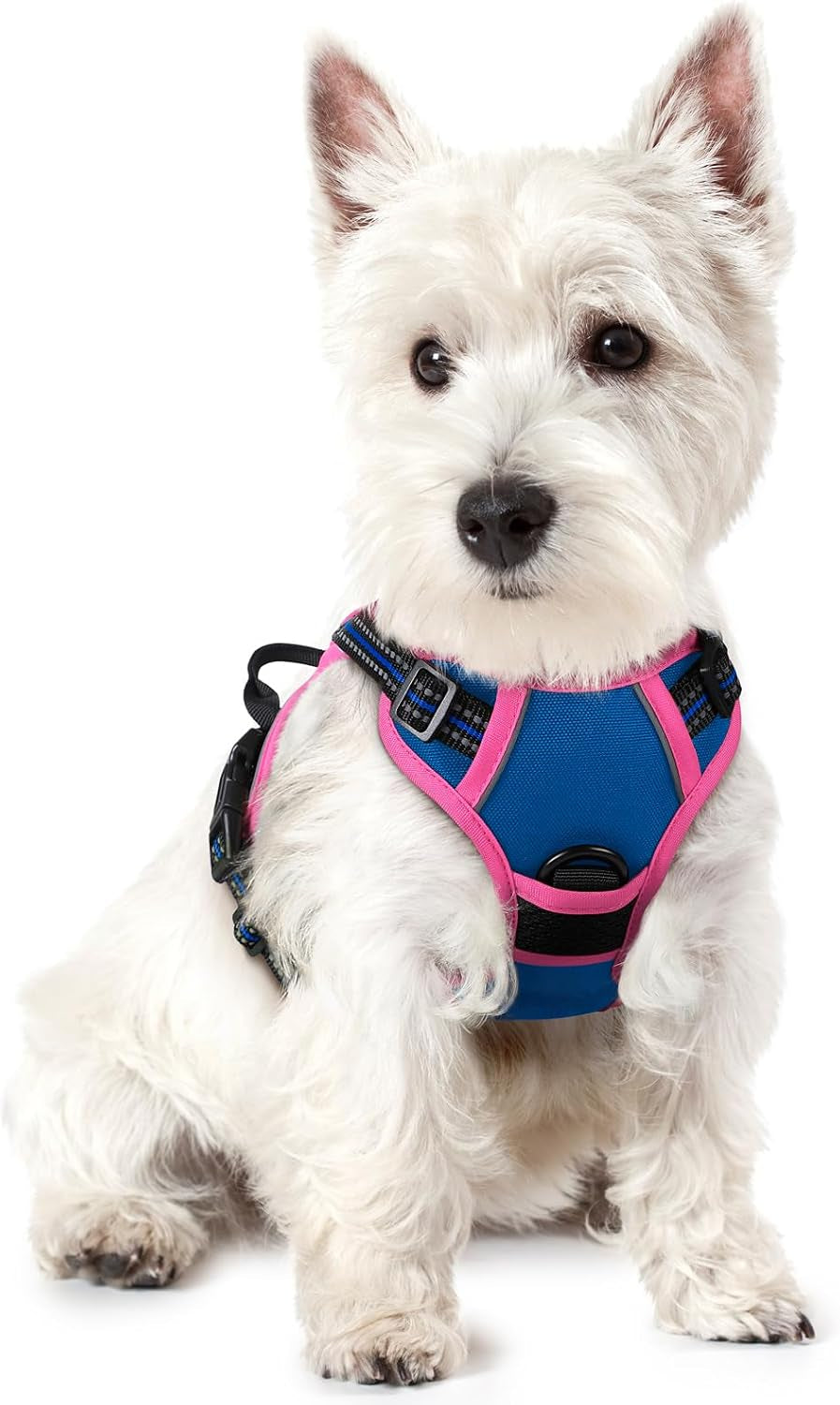 rabbitgoo-dog-harness-no-pull-for-large-dogs-with-2-leash-clips-pet-vest-no-choke-with-handle-adjustable-soft-padded-reflective-easy-control-for-walking-black-large