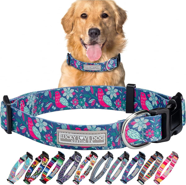 Lucky Love Dog - Easy Click Buckle Dog Collar with Leash Set Combo, Durable & Comfortable for Male & Female Dogs, Pet Collar for Medium Dogs, Secure Fit - Blackbird Combo, Medium19