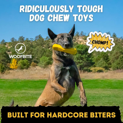 Indestructible Stick Dog Toy - Lifetime Replacement - Durable Chew Toy for Aggressive Chewers - Safe Non-Toxic Natural Rubber - Chew Tug & Fetch - Tough, Heavy Duty - Med/Large Breed, 8”X2”2
