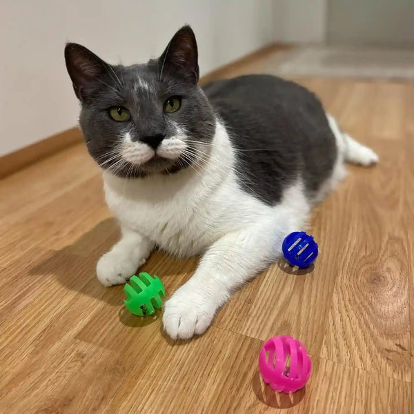 SPOT Slotted Balls Cat Toy - Interactive Cat Toys for Indoor Cats to Chase, Hunt and Stimulate - Jingle Bell inside for Sound When Batted around - Safe and Non-Toxic - 1.5" Assorted 4-Pack5
