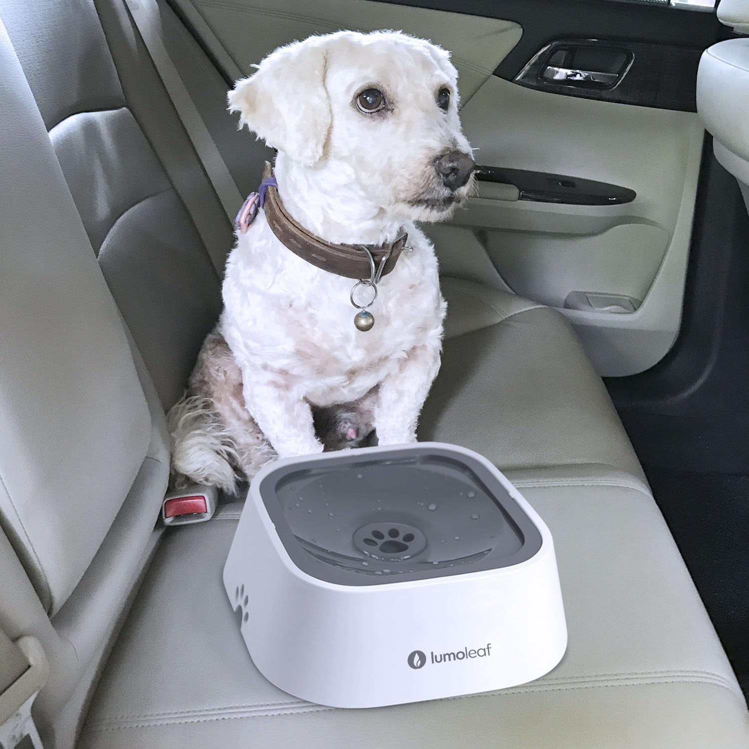 lumoleaf-no-spill-water-bowl-for-dogs-slow-feeder-for-messy-drinkers-drip-free-splash-proof-design-grey-35oz