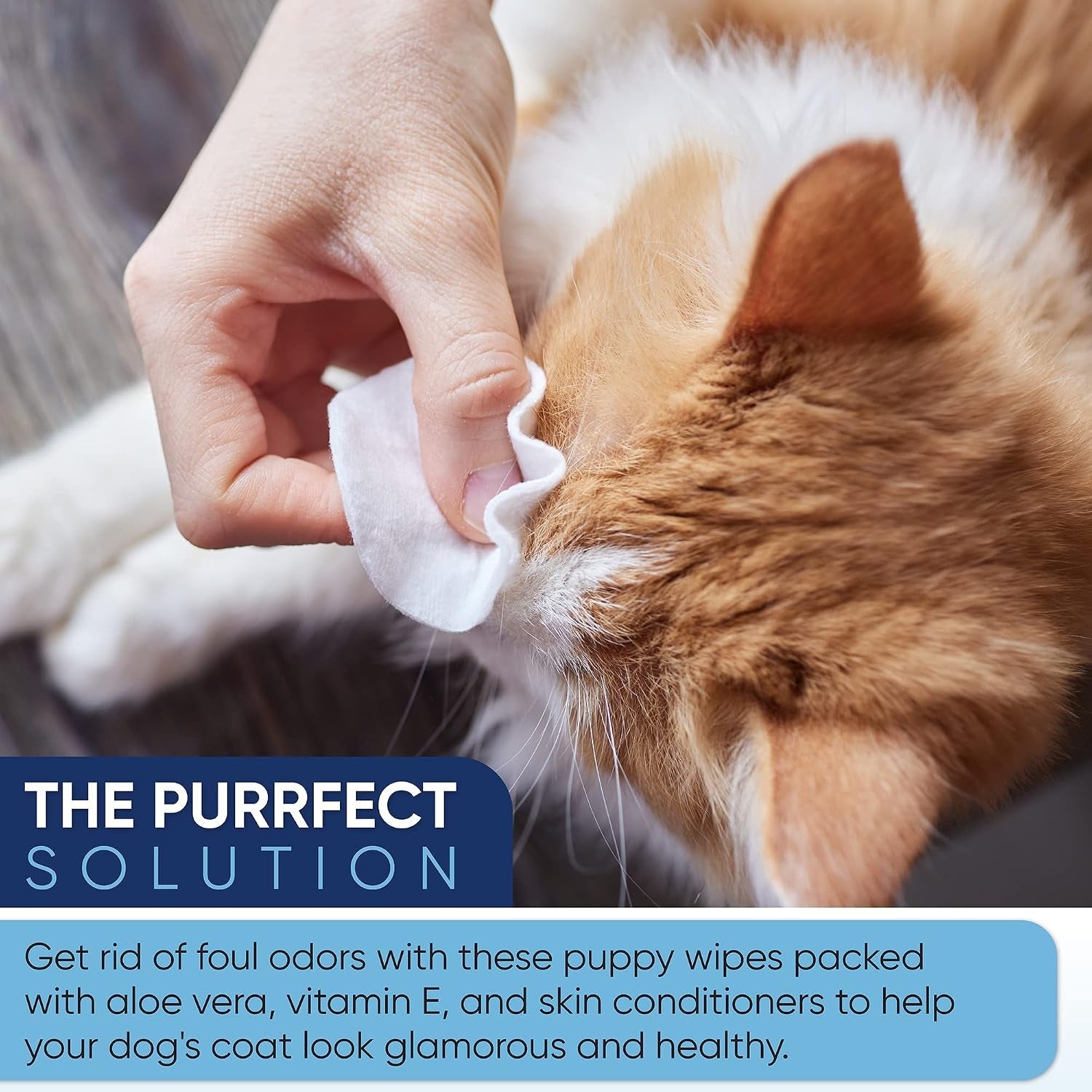 magicare-pet-wipes-400-pcs-dog-wipes-8x8-inch-unscented-dog-paw-cleaner-wipes-for-body-ears-face-and-skin-ultra-thick-soft-with-hypoallergenic-formula-ideal-pet-wipes-for-dogs-cats