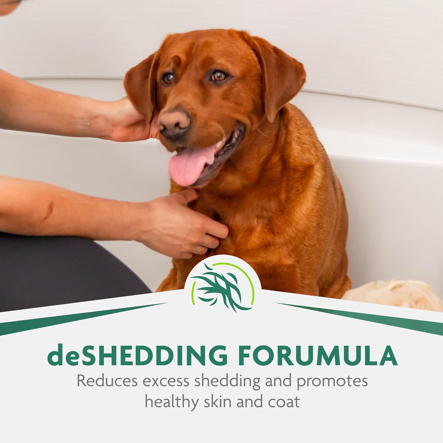 furminator-ultra-premium-deshedding-shampoo-for-dogs-helps-reduce-excess-shedding-16-oz