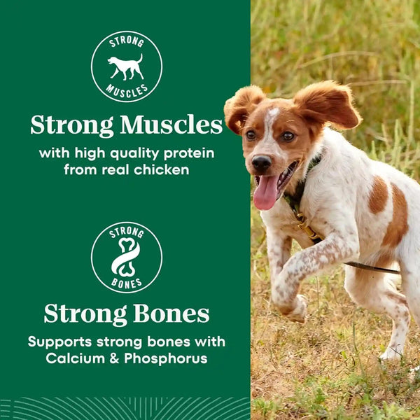 Nutro Natural Choice Senior Small Breed Dry Dog Food, Chicken, 5 Lb | Chicken First Ingredient, Beet Pulp Prebiotic, Omega-3 & Omega-6, Vitamin E & Selenium Antioxidants, Supports Bones, Skin9