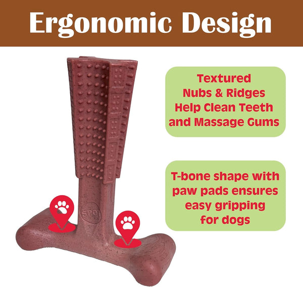 SPOT Bam-Bones plus T Bone – Bamboo Fiber & Nylon Dog Chew Toy for Moderate to Aggressive Chewers, Durable Long Lasting & Non-Splintering, Beef Flavor Toy for Adult Dogs & Puppies under 60 Lbs, 6 In10