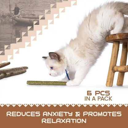 HUPA Cat Chew Sticks | Anxiety Relief & Digestive Support, Kitten Teething Chews, Cat Dental Chews | Natural Catnip Teething for Indoor Cats, Energetic Chew for All Ages & Breeds | 6 Sticks7