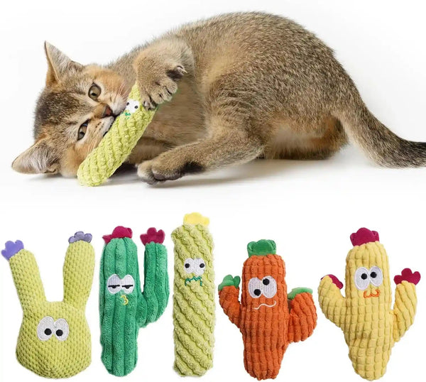 Cactus Catnip Toys, 100% Pure Organic Catnip-Filled Toys without Cotton | 5 Pack Interactive Kitten Toy for Anxiety Relief, Soft Cute Teething &Chew Toys for Indoor Cats1
