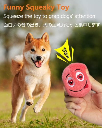 SCHITEC Squeaky Dog Toys, [6 Pack] Soft Stuffed Plush Balls with Squeakers, Interactive Fetch Play for Puppy Small Pets2