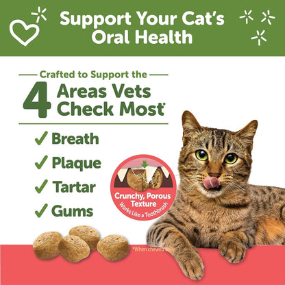 Wellness WHIMZEES Cat Dental Treats, Freshens Breath, Chicken and Salmon Flavor, 4.5 Oz Bag2