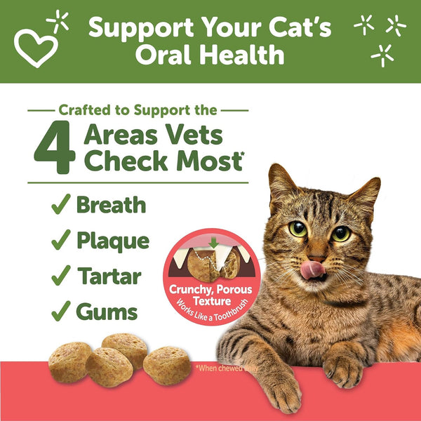 Wellness WHIMZEES Cat Dental Treats, Freshens Breath, Chicken and Salmon Flavor, 4.5 Oz Bag2