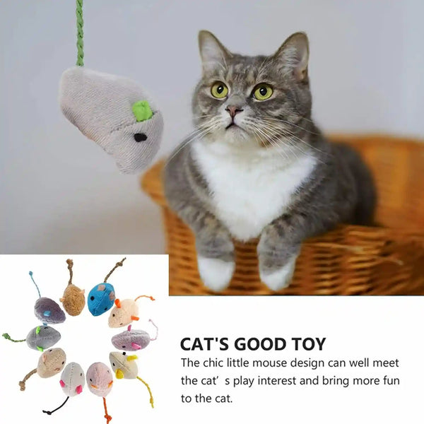 Catnip Toy, Cats Mouse Plush Cat Toys, Cat Mice & Animals Toys for Indoor Cats and Kittens, Cat Chew Toy for Exercise for Pet Cat Kitten Kitty (6 Packs)5
