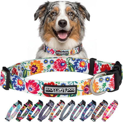 Lucky Love Dog - Easy Click Buckle Dog Collar with Leash Set Combo, Durable & Comfortable for Male & Female Dogs, Pet Collar for Medium Dogs, Secure Fit - Blackbird Combo, Medium30