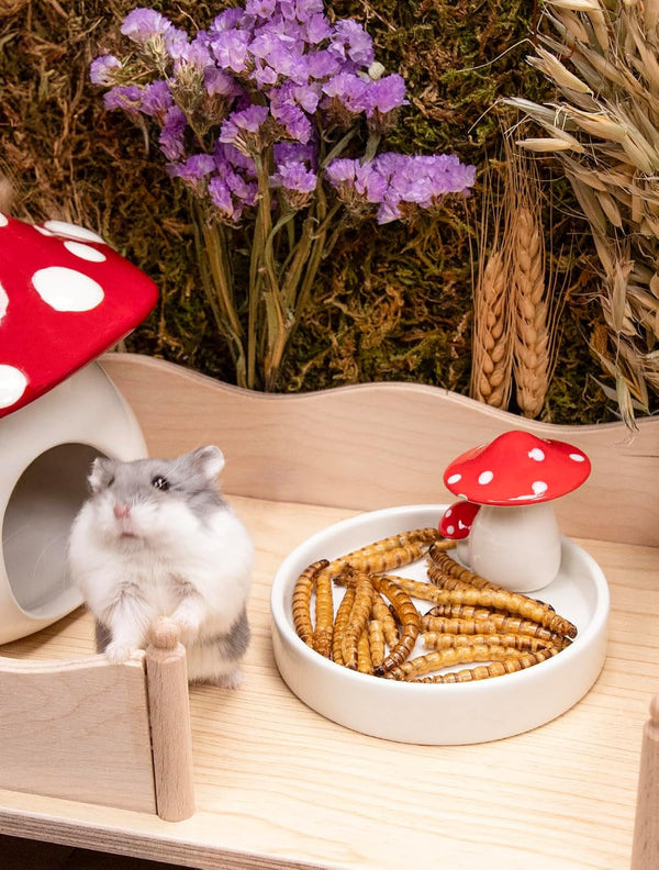 Niteangel Small Animal Snack & Treats - Dried Worms & No Additive | Delivers Essential Vitamins & Minerals- Small Animal Natural Treat for Dwarf Syrian Hamsters Gerbils Mice Degus or Small Pets4