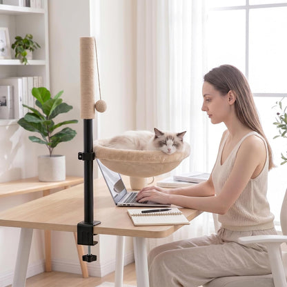 Cat Desk Bed with Scratching Post Clamp on 360 Rotating Camel | Adjustable Height, Reversible Machine Washable Cover, Alloy Steel Frame, Space Saving Perch, Supports Cats up to 45 Pounds2