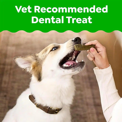 Greenies Teenie Original Natural Dental Dog Treats, Chicken, 192 Count | Clinically-Proven, Veterinarian-Recommended, 47% Less Tartar & 40% Less Plaque in 28 Days, for Dogs 5-15 Lbs, 54 Oz. Pack3