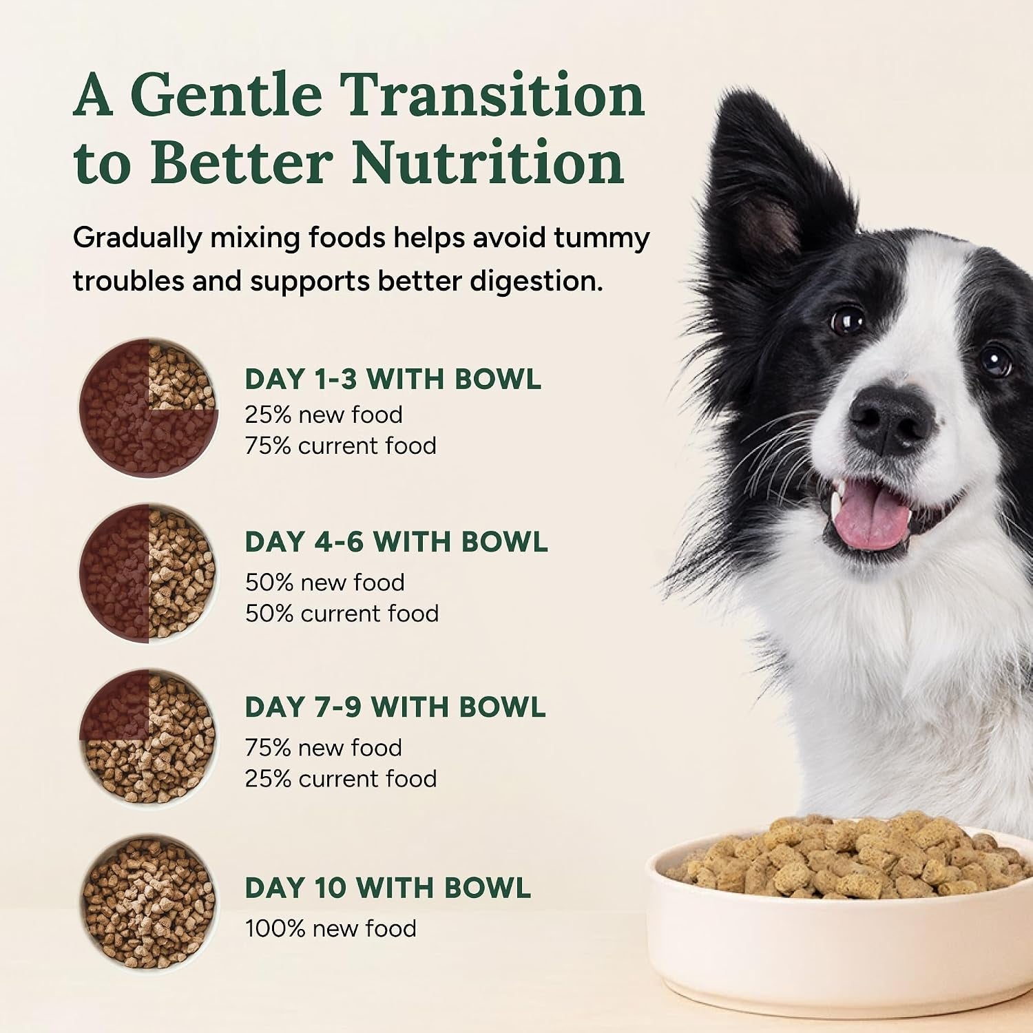 360-pet-nutrition-freeze-dried-raw-dog-food-beef-recipe-with-liver-organs-high-protein-with-omega-3s-fruits-veggies-superfoods-grain-free-no-fillers-1-lb-made-in-usa