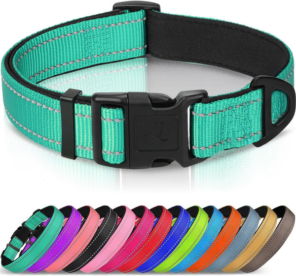 Joytale Reflective Dog Collar, Adjustable Neoprene Padded, Teal L | Breathable Nylon for Large Dogs, No Chafing on Walks and Outdoor Hikes, Tear-Resistant Webbing, Metal D-Ring, Night Safety1