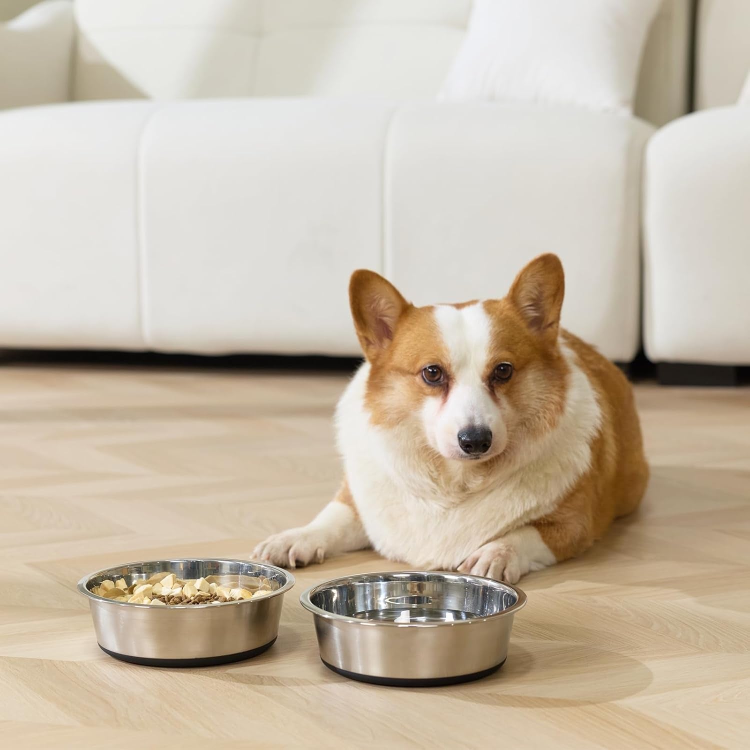 dog-bowls-durable-non-slip-stainless-steel-dog-bowls-2-pack-holds-3-cups-basic-bowls-for-dogs-with-rubber-base-for-dry-food-wet-food-and-water