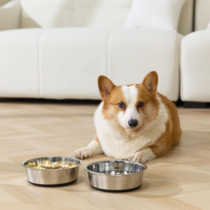 Dog Bowls Durable Non-Slip Stainless Steel Dog Bowls 2-Pack Holds 3 Cups | Basic Bowls for Dogs with Rubber Base for Dry Food, Wet Food and Water6