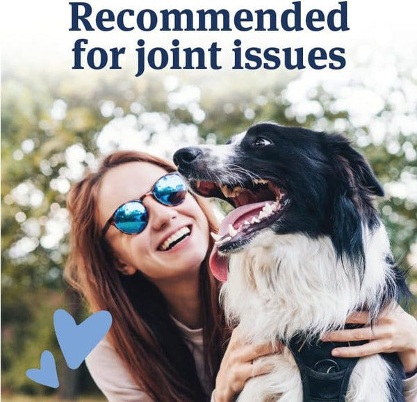 Petarmor Aspirin for Small Dogs, Fast Acting Anti-Inflammatory and Pain Relief for Dogs, Vet-Quality Joint Support and Pain Meds for Dogs, 75 Liver Flavored Tablets | Fast-Acting Anti-Inflammatory & Pain Relief; Vet-Quality Joint Support; Liver-Flavored Tablets; for Small Dog Breeds4