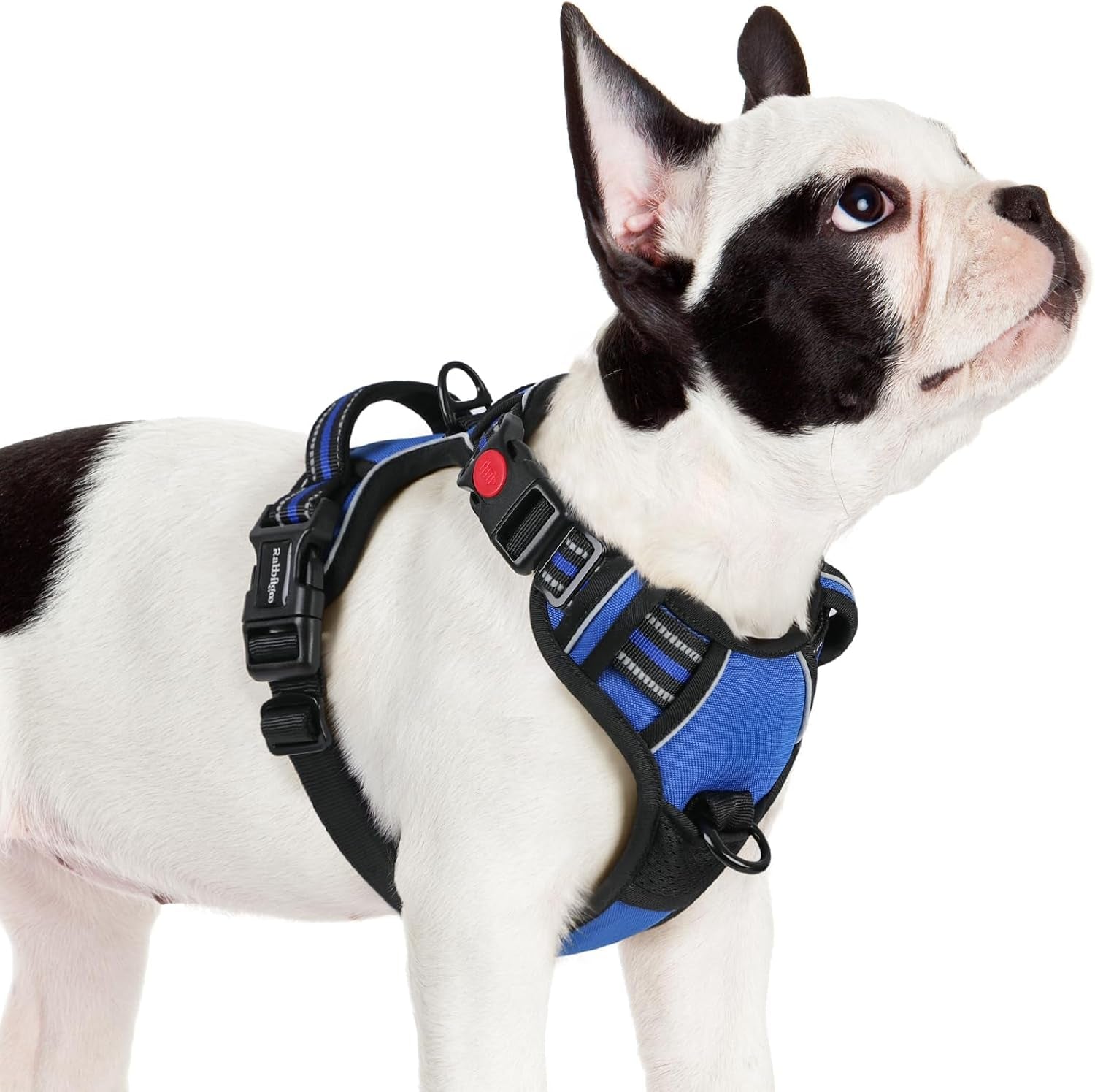 rabbitgoo-dog-harness-medium-sized-updated-easy-on-off-with-3-buckles-no-pull-no-choke-walking-with-2-clips-and-handle-adjustable-soft-reflective-blue-medium
