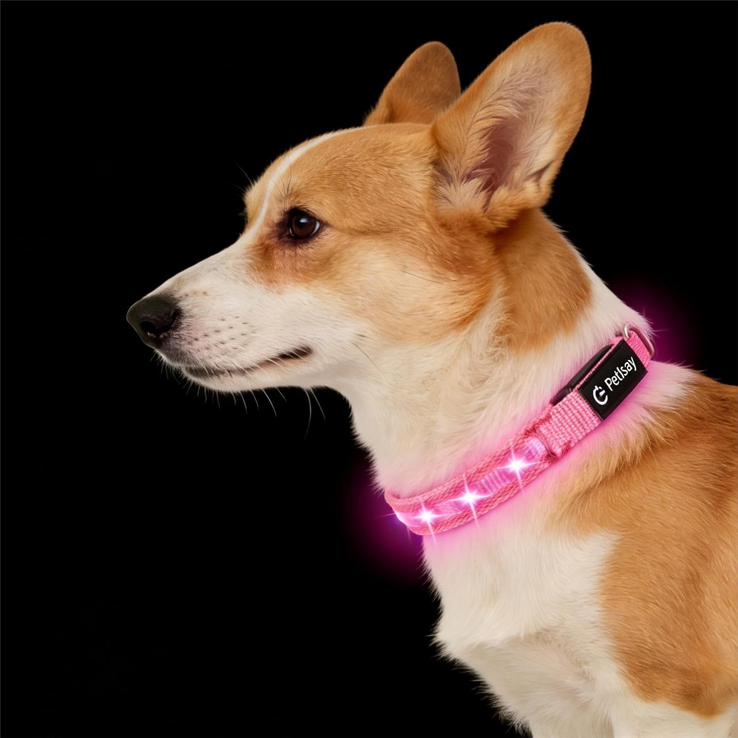 super-bright-led-dog-collar-waterproof-light-up-collarsgreen-medium-lighted-dog-collar-with-adjustable-fit-soft-nylon-comfort-usb-c-rechargeable-glow-in-the-dark-visibility-for-night-walks
