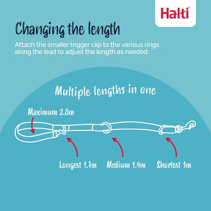 Halti Headcollar (Size 4, Black) & Halti Training Leash (Size Large, Black) | Bundle | Stop Your Dog Pulling on the Leash | Adjustable, Lightweight with Padded Nose Band | Suitable for Large Dogs4