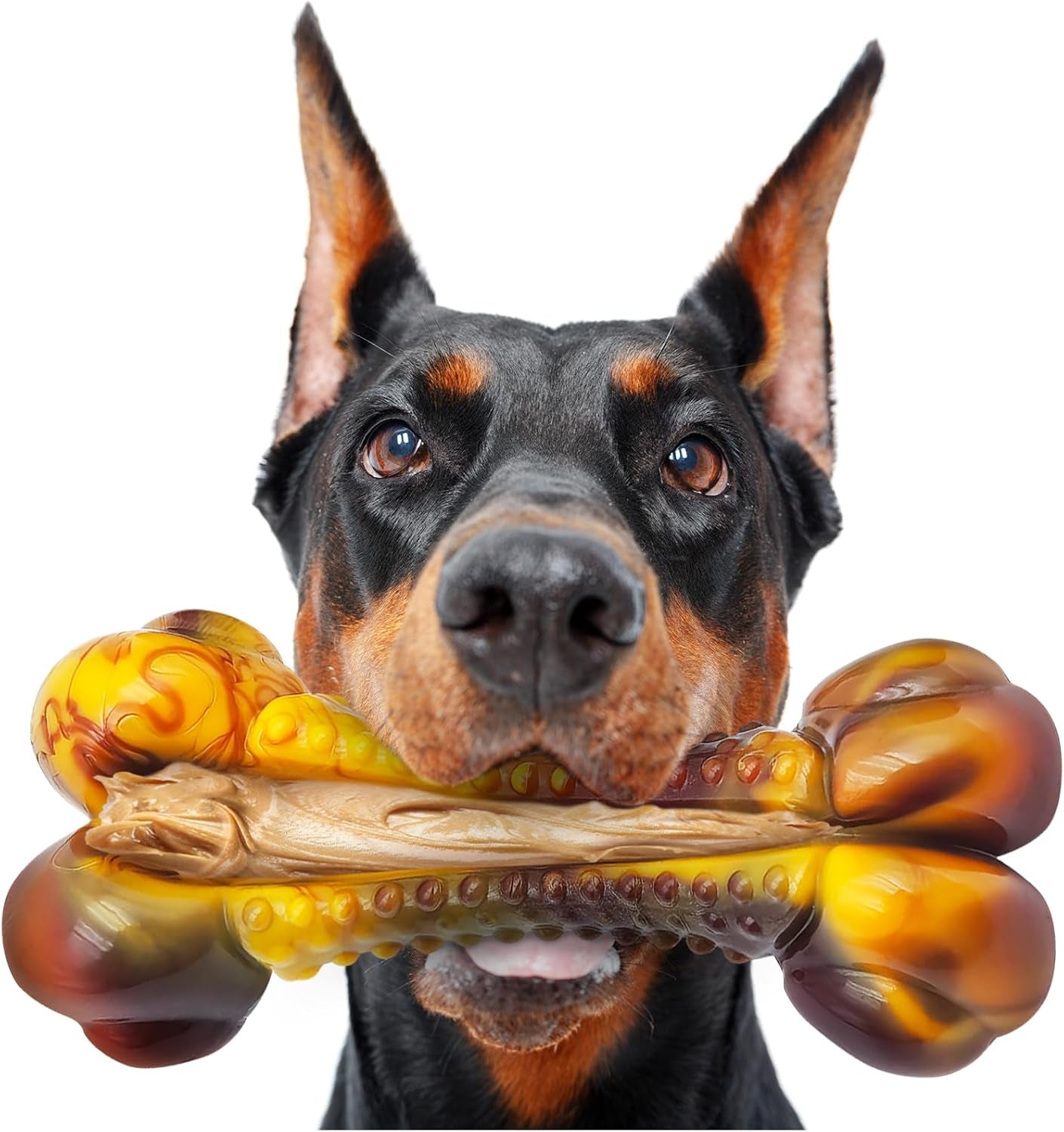 dog-chew-toys-for-aggressive-chewers-2pack-indestructible-dogs-bone-toy-for-large-small-medium-breeds-durable-tough-nylon-dog-toys-to-keep-them-busy-puppy-teething-dogs-toy-bone-beef-bacon-flavor