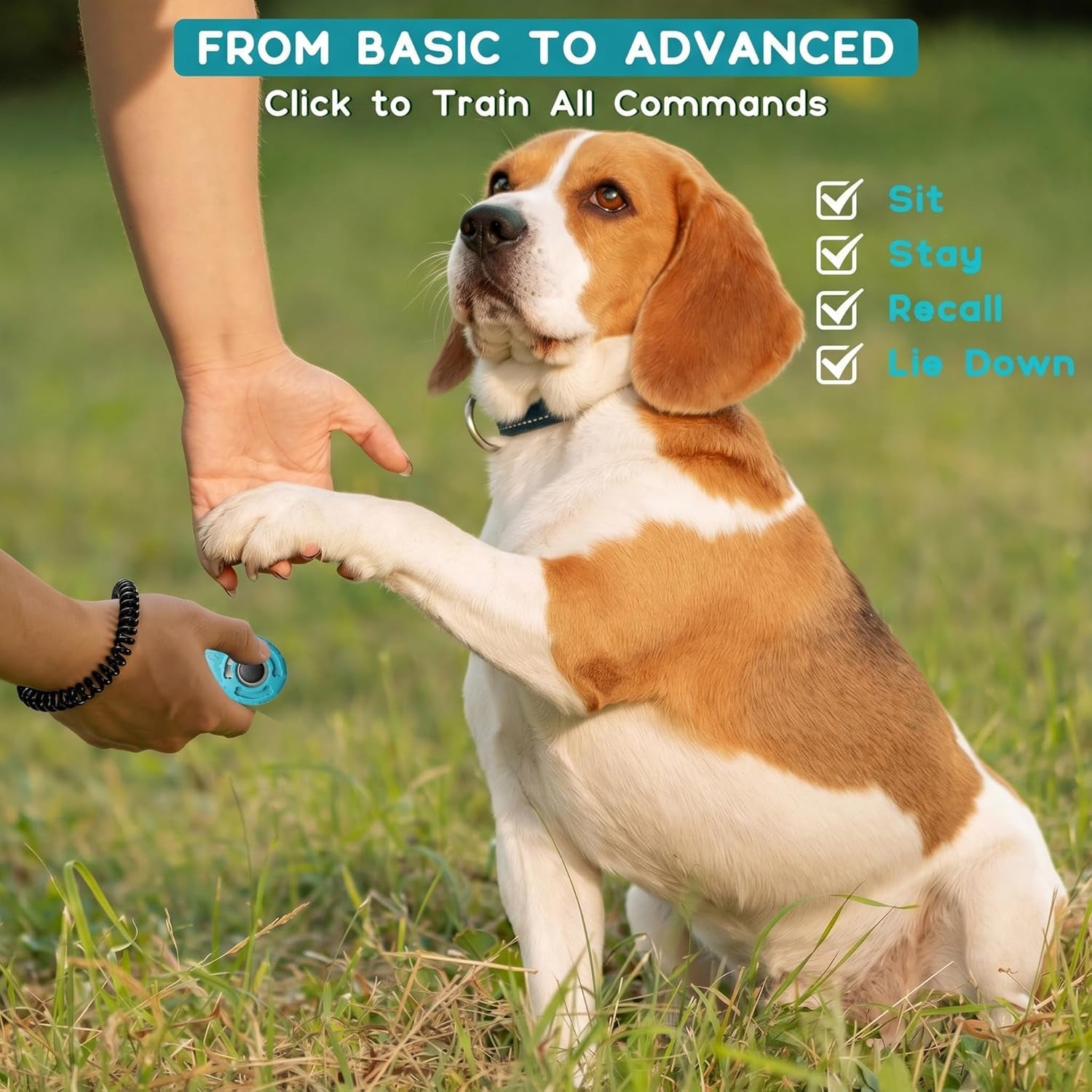dog-training-clicker-with-sring-wrist-and-keyring-pet-dog-training-clickers-for-puppy-cat-potty-bird-horse-pet-trainer-training-tools-behavior-aids