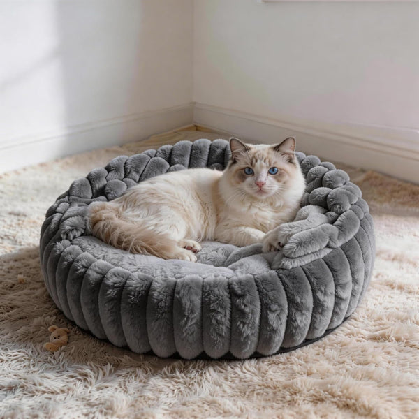 Cat Beds for Indoor Cats, 2 in 1 Cat Cave Bed Kitten Bed for Small Pets, Small Dog Bed with Cover, Pet Bed for Puppy and Kitten with Anti-Slip Bottom-Dark Gray-20 Inches3